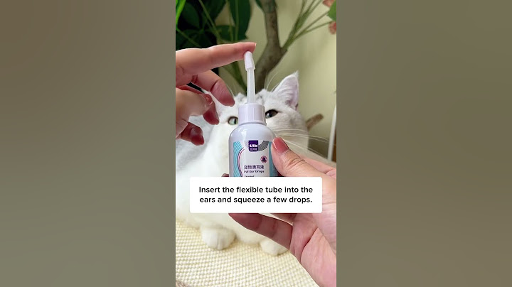 How to Clean Cats Ears With This Trick!