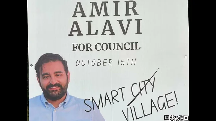 Who is Amir Alavi?