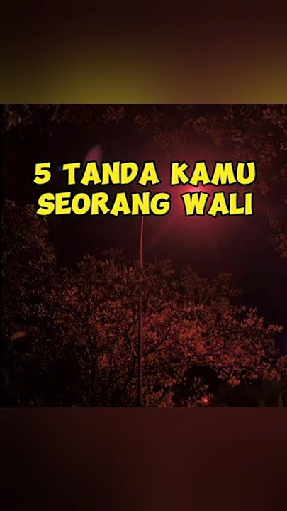 5 tanda kamu seorang wali #waliallah #wali #waliullah #pyf #shortislami #islamicvideo #tasauf