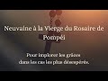 La rose de padre pio   supplment  neuvaine  la vierge du rosaire de pompi 