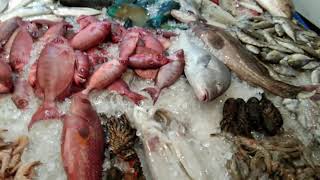 Египет 2021 Рыбный рынок в Хургаде Хургада 2021 В Хургаду на зимовку Цены на рыбу Египет сегодня 
