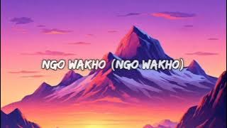 Nasty C - Ngingo Wakho [Lyric video] Ft Lekaa Beats & Gabzy ( lyrics video )