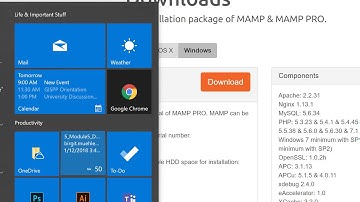 Installing MAMP Server on Windows 10
