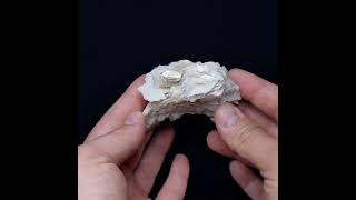 Vídeo: Calcite, Cavnic, Roménia, 6,8 cm