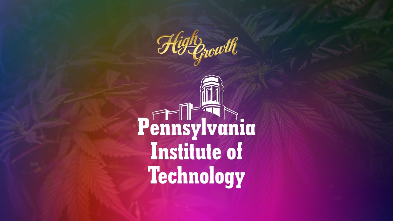 How PIT Is Leading the Cannabis Workforce Development Movement