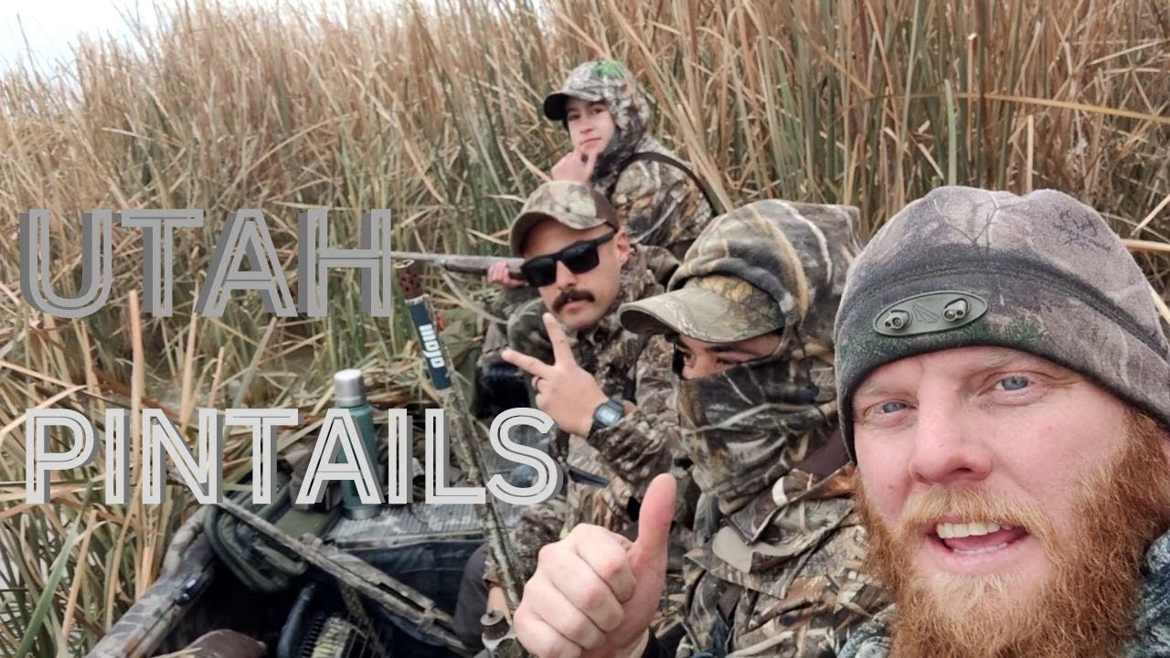 Utah Duck Hunt At Farmington Bay Turpin Unit YouTube utah-duck-hunt-at-farmington-bay-turpin-unit-youtube