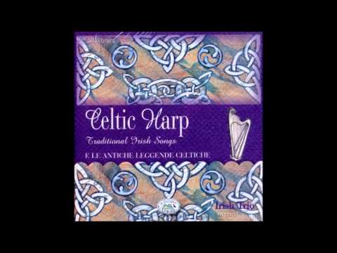 Brian Boru's March - Harp and tin whistle