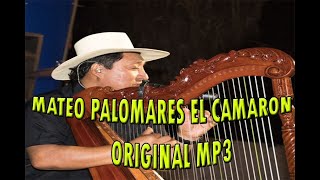 Video thumbnail of "MATEO PALOMARES - EL CAMARON - ORIGINAL MP3"