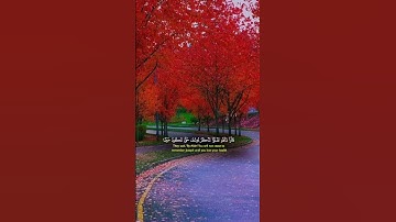 قرآن كريم راحة نفسية استمع وانشر أجرلي ولكم