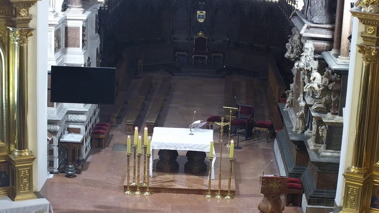 Transmisja z Katedry Tarnowskiej