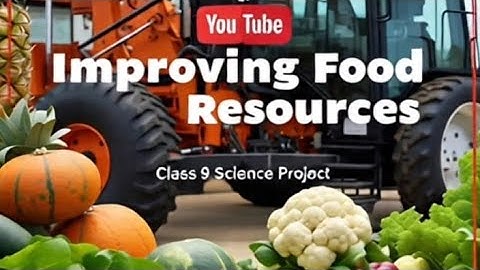 IMPROVEMENT IN FOOD RESOURCES/SCIENCE PROJECT FILE. Class 9th