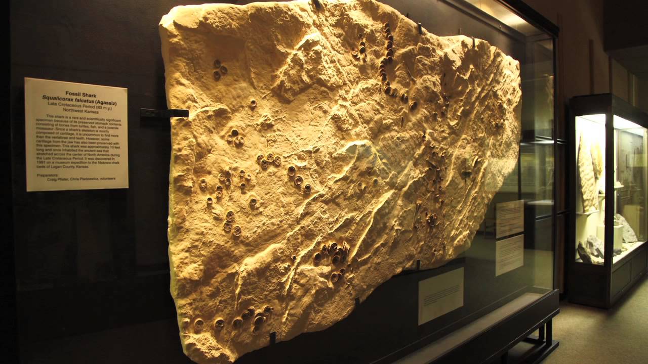 UWMadison Geology Museum YouTube