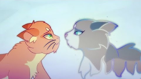 Warriors MAP Part 17