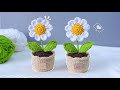The Cutest Crochet Flower How To Crochet A Mini Daisy Pot Easy Step By Step Tutorial 