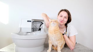 CatGenie A.I. SelfFlushing Automatic Litter Box Review (We Tried it for 3 Weeks)