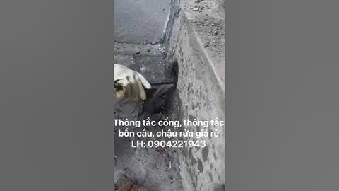 Thông tắc cống tại nhà