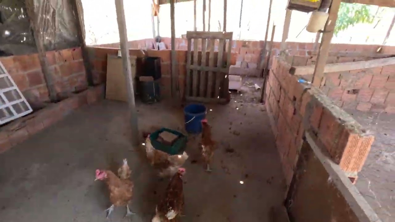 A Venda esse sítio de 24 hectares em Flores GO