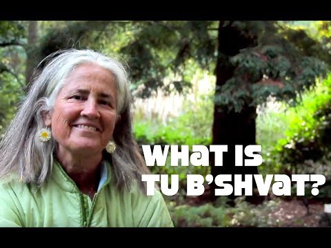 Vídeo: Per què se celebra tu b'shevat?