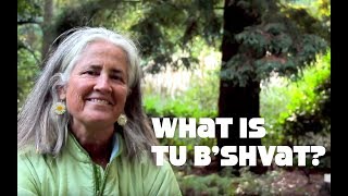 What is Tu B'shevat? The Jewish Tree Holiday screenshot 2