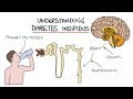 Understanding Diabetes Insipidus