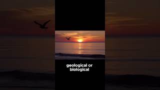 The Upsweep's Legacy | A Haunting Sound | That Keeps Us Listening to the Deep! #sea #ocean #shorts