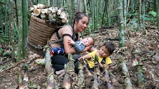 Single girl harvests bamboo shoots to sell - raises two small children - works as a gardener