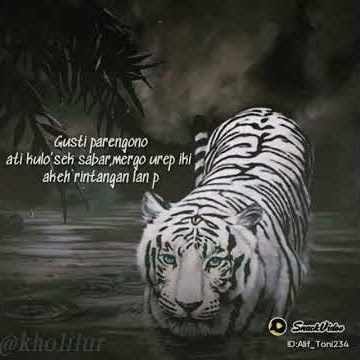 kata bijak macan putih