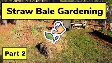 Straw Bale Gardening, Part 2
