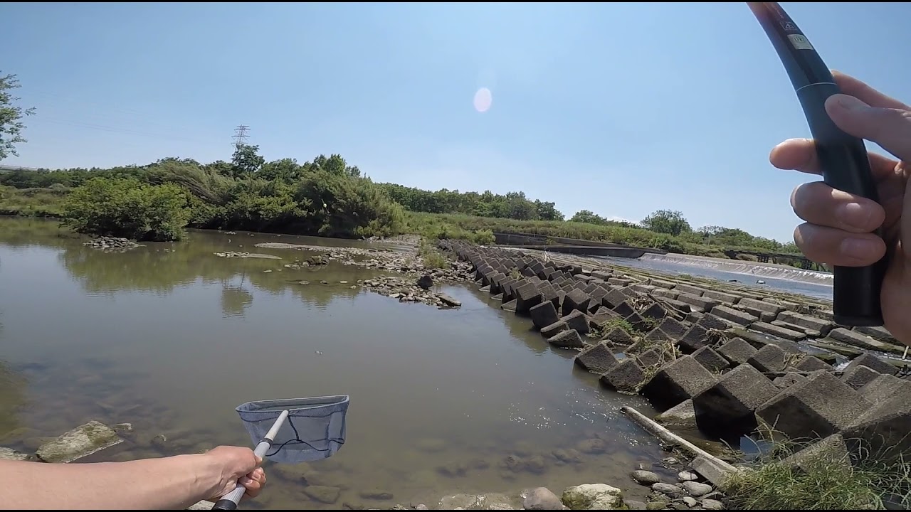 越辺川 八幡橋 ヤマベ釣り Youtube