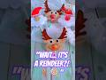🦌 Turn a Lollipop into a Cute Reindeer! 🎄🍭 #Shorts
