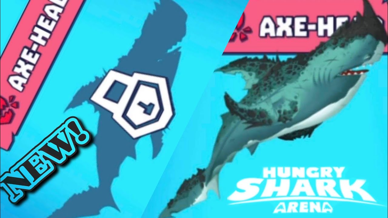 AGS] Paleta Humeda XL - shark games