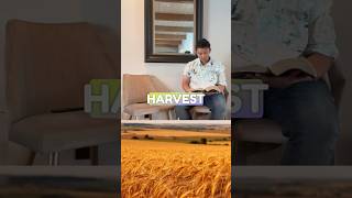 Jesus Says The Harvest Is Ready 👨🏻‍🌾🌾