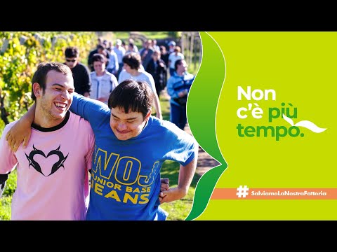 NON C'È PIÙ TEMPO - #SALVIAMOLANOSTRAFATTORIA