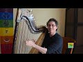 Nicolas carter harp gathering workshop  la paloma