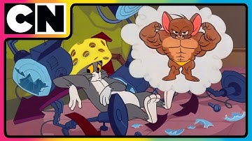 Tom and Jerry 😺🐭| The Never Ending Chase! | Cat and The Mouse 🥳| Best Funny Cartoon ✨|  @cnindia​