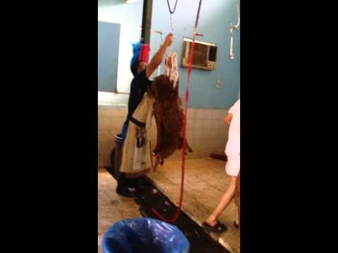 زبح الخروف وسلخه زينه والله 2