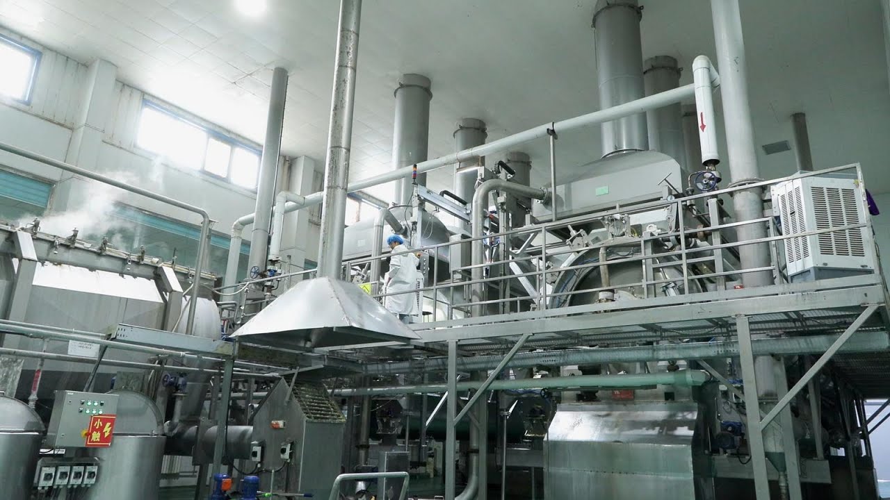 【Shandan News】Yuxing Potato Powder Industry-Potato flakes manufacturer and exporter 