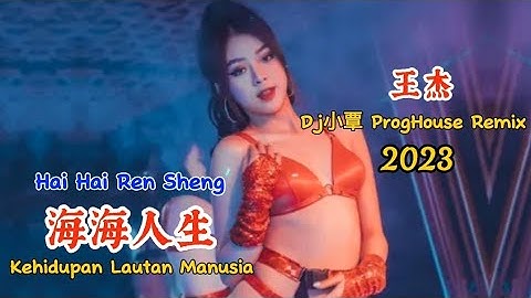 王杰 - 海海人生 - (Dj小覃 ProgHouse Remix 2023) - Hai Hai Ren Sheng - Kehidupan Lautan Manusia #dj抖音版2023