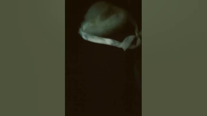 i triwd to fully pop bory aidea