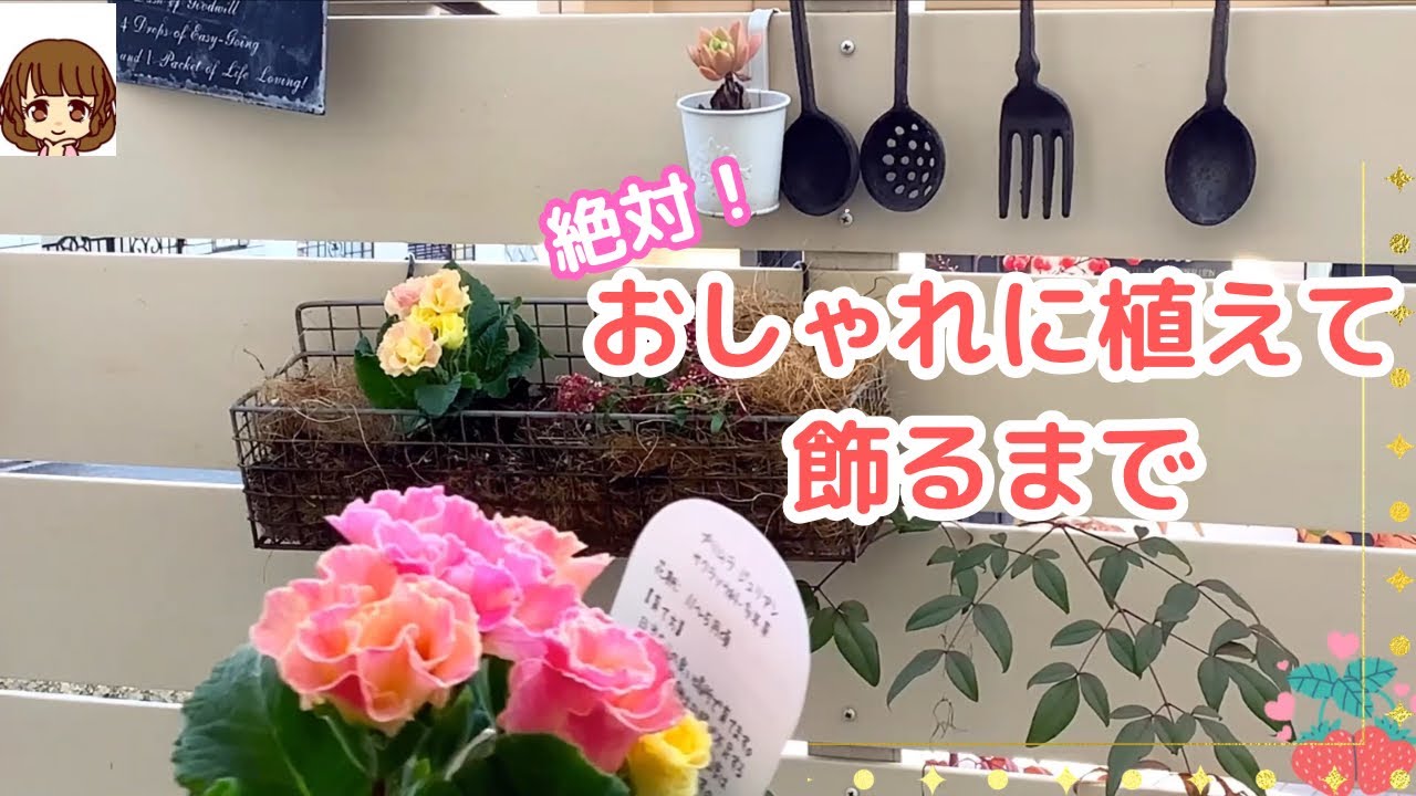 春の寄せ植え】長く楽しめる 「かんたん！おしゃれな寄せ植え」をご