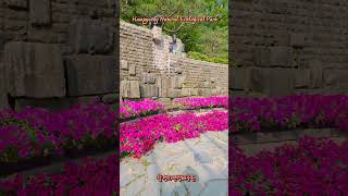 함평자연생태공윈, #HampyeongNaturalEcologicalPark, # EcologicalPark, #함평자연생태공윈, #함평여행, #함평, #함평추천, #전남가볼만한곳