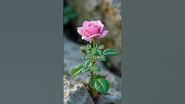 #egzonibrahimi #surahkawthar #سورة_الكوثر #القرآن_الكريم#hearttouching #اللهم_صل_وسلم_على_نبينا_محمد