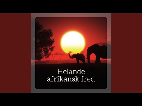 Video: Ojämlikheter På Lokal Nivå I Användningen Av Sjukhusbaserad Mödrar I Sydafrika