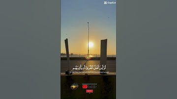 قمة الروعة: تلاوة خاشعة تبكي الحجر