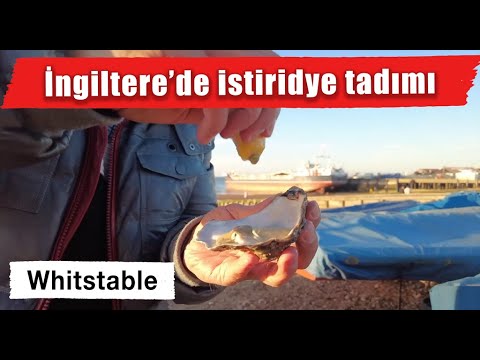 Video: Whitstable - İstiridye Sevenlerin Kaçamağı