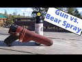 Should You Carry a Firearm or Bear Spray?  Backpacking in Grizzly Bear Country