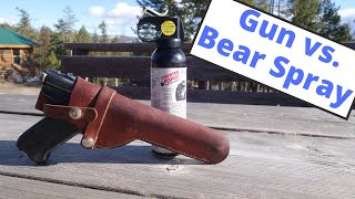 Should You Carry a Firearm or Bear Spray  Backpacking in Grizzly Bear Country