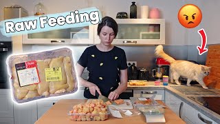 How I Prep Raw Meat For My Cats | Raw Feeding