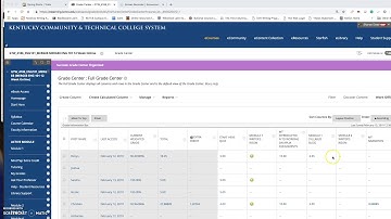 Blackboard Bug Video #2