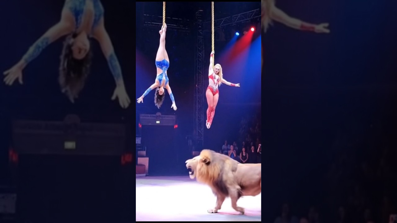 🔥🔥 Mesmerizing grils Circus Stuns Judges on AGT | Must-See Performance!🔥🔥